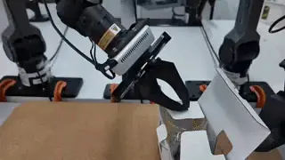 RISE robot policy demonstration